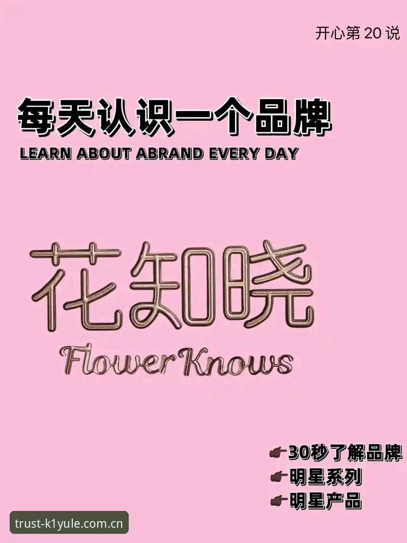 K1娱乐平台可靠性详解：为什么这个品牌值得你花时间了解